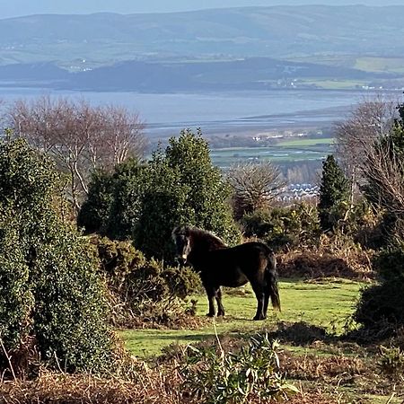 Exmoor Retreat On Two Moors Way Withypool ภายนอก รูปภาพ