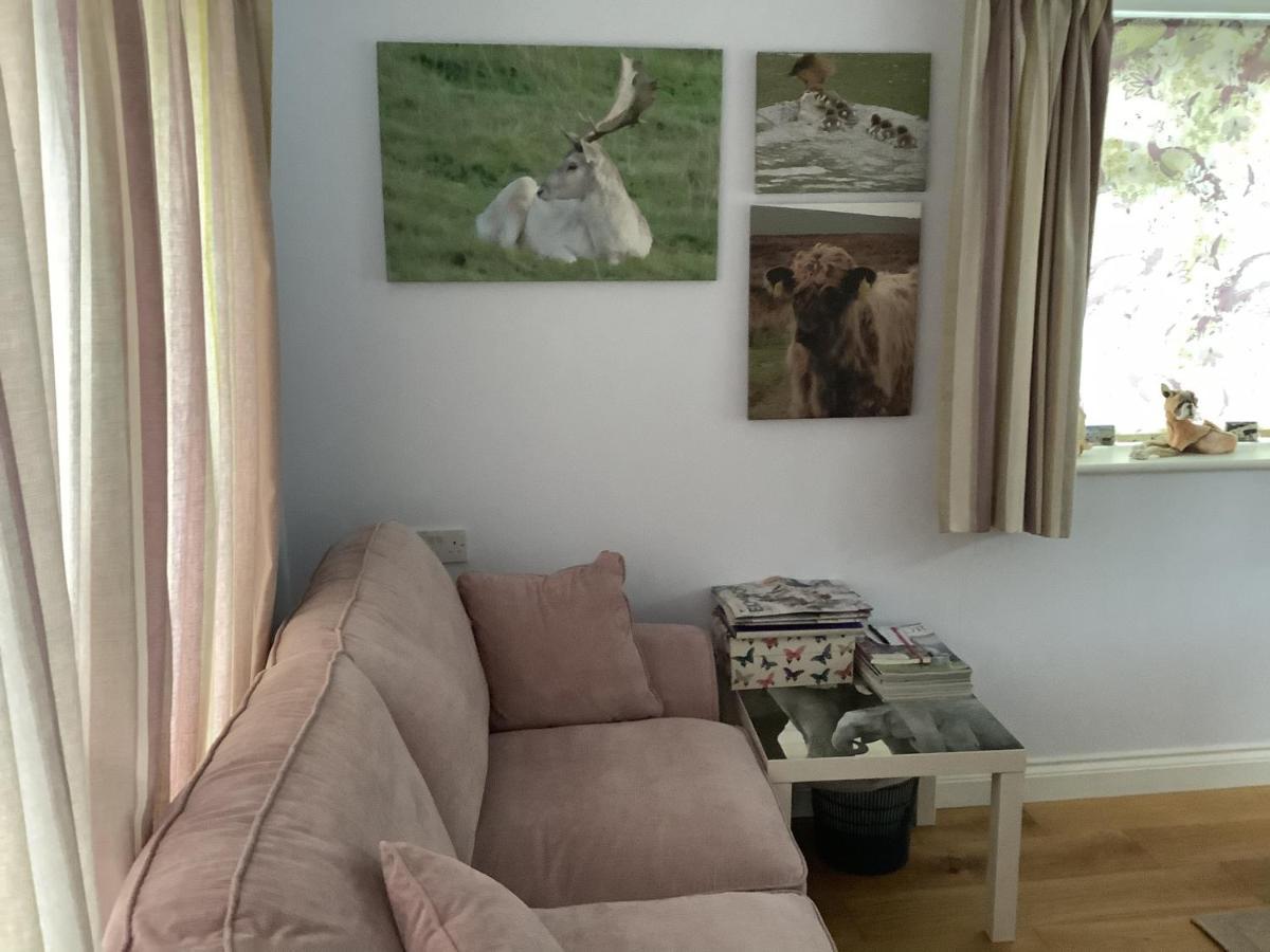 Exmoor Retreat On Two Moors Way Withypool ภายนอก รูปภาพ