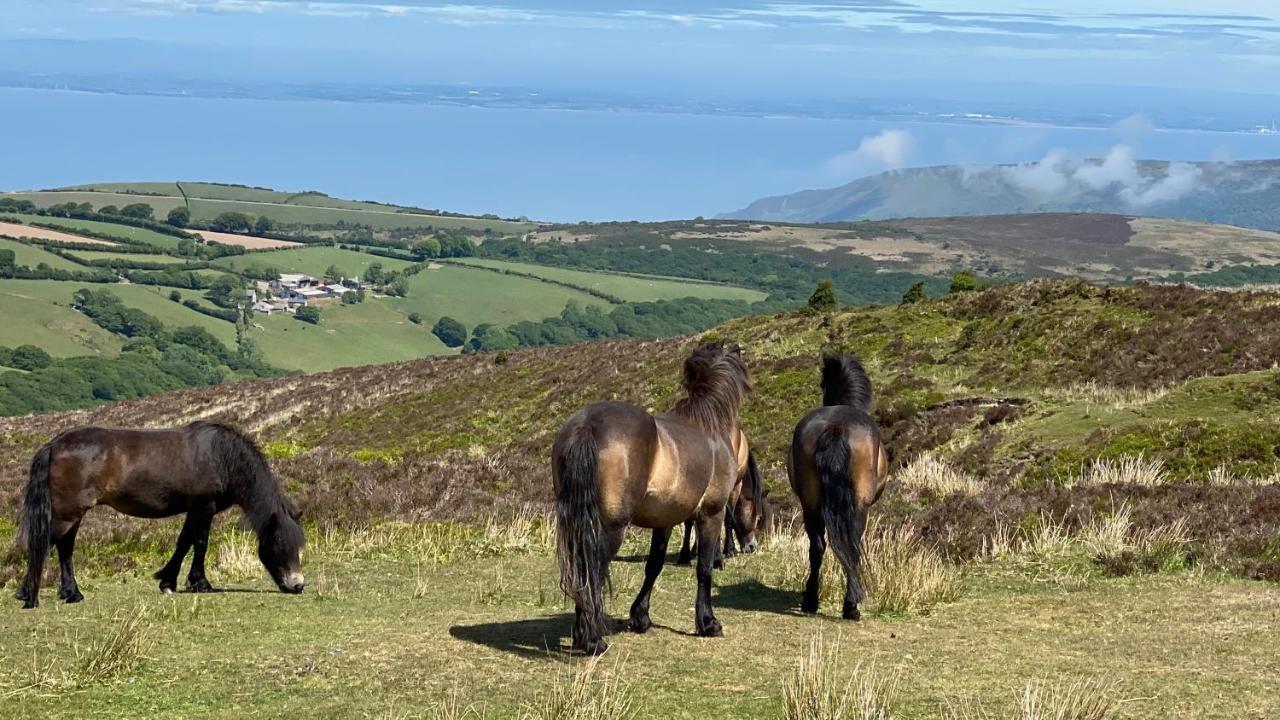 Exmoor Retreat On Two Moors Way Withypool ภายนอก รูปภาพ