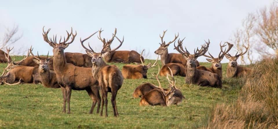 Exmoor Retreat On Two Moors Way Withypool ภายนอก รูปภาพ