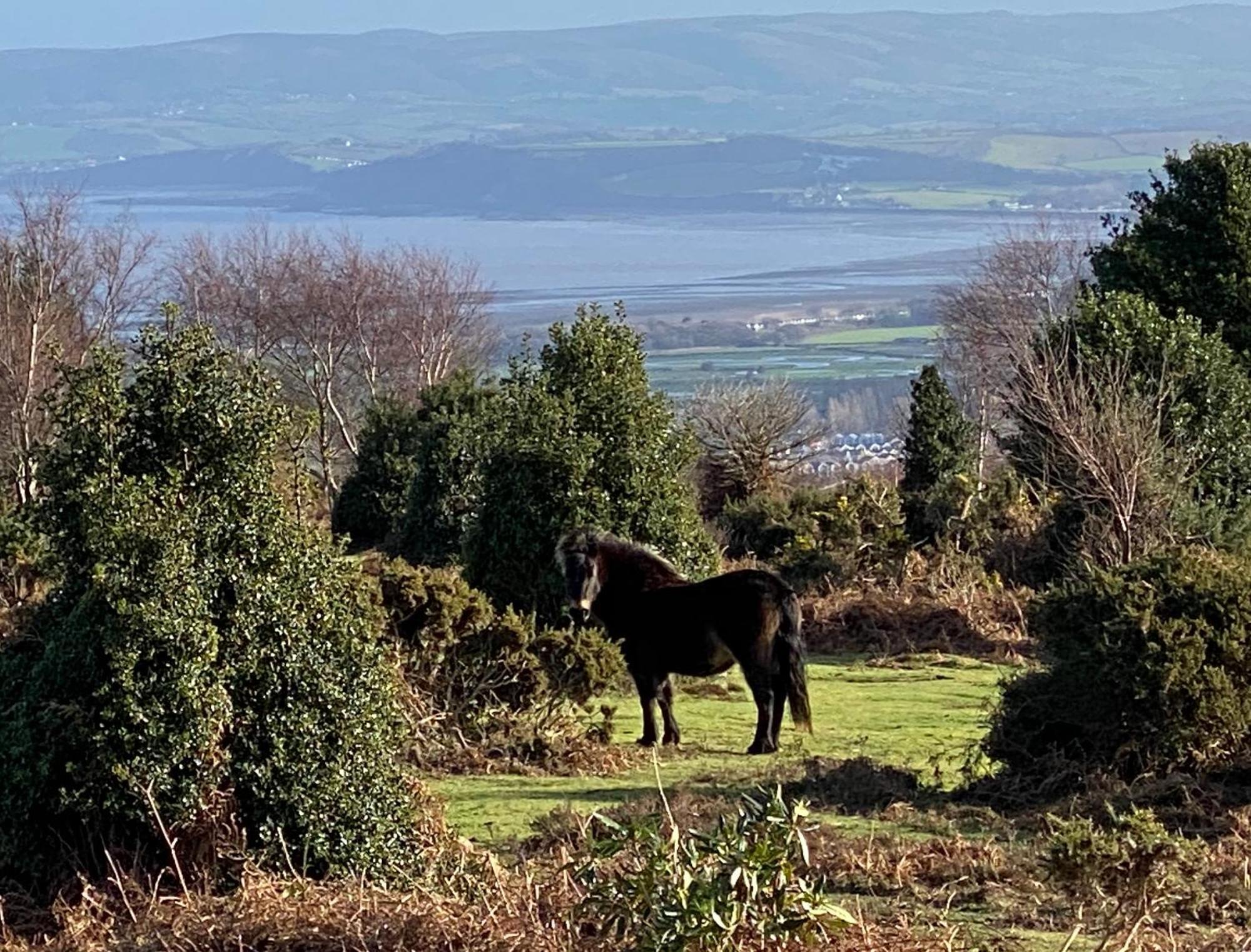 Exmoor Retreat On Two Moors Way Withypool ภายนอก รูปภาพ