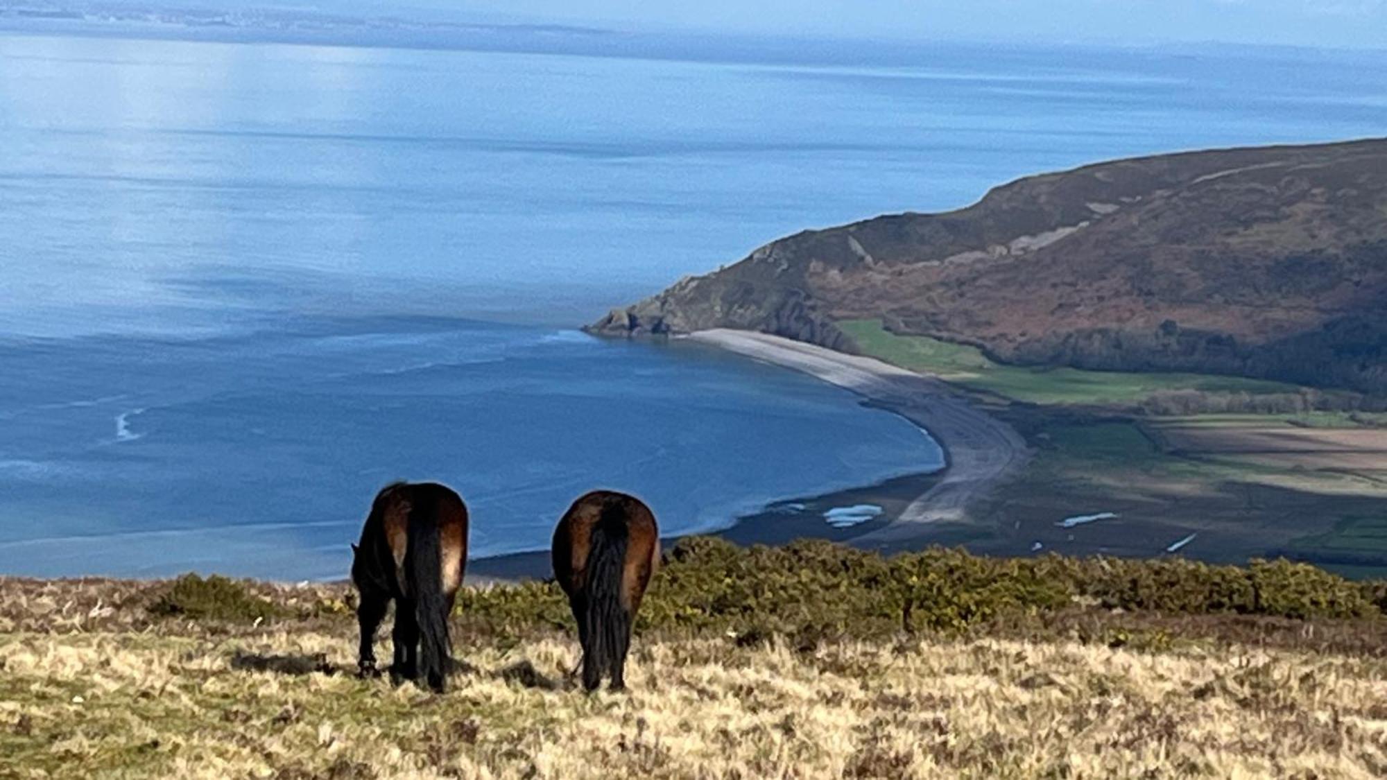 Exmoor Retreat On Two Moors Way Withypool ภายนอก รูปภาพ
