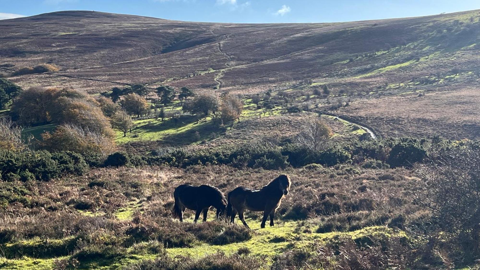 Exmoor Retreat On Two Moors Way Withypool ภายนอก รูปภาพ